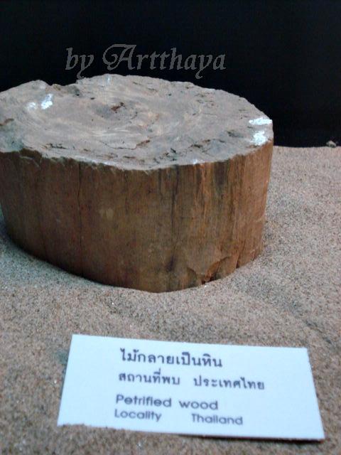Museum57.JPG